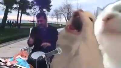 Pretty sure charmx would like this