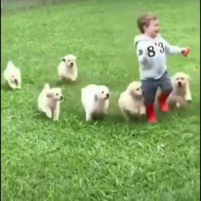 SmAlL ChIlD EATEN ALIVE bY a PaCk oF DoGs
