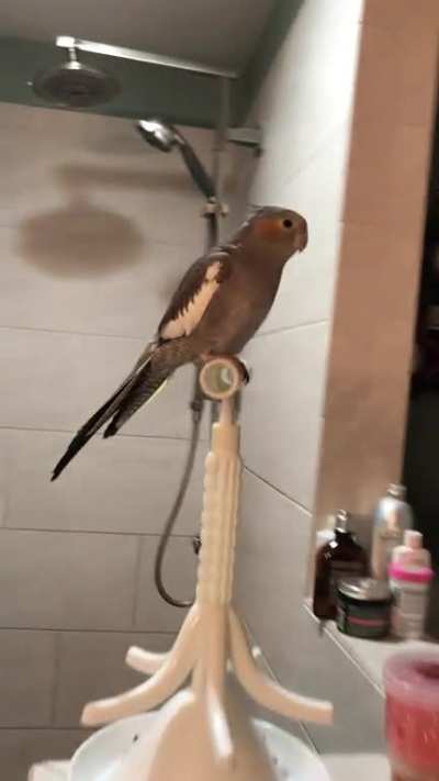 She screams when she’s ready for bed! 😂