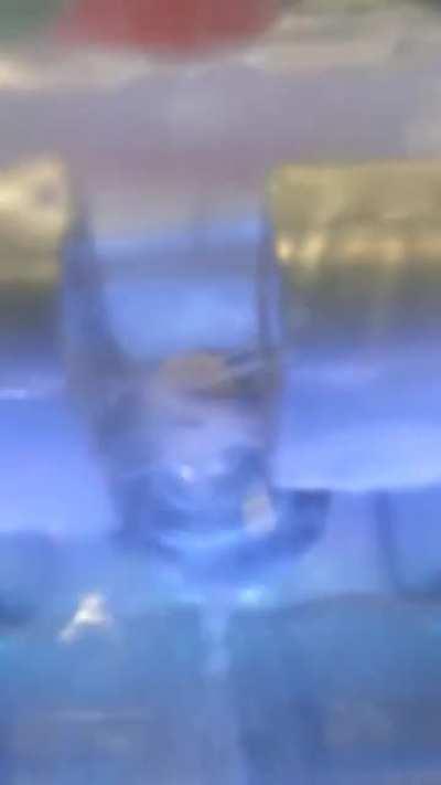 My new tooth crown being made