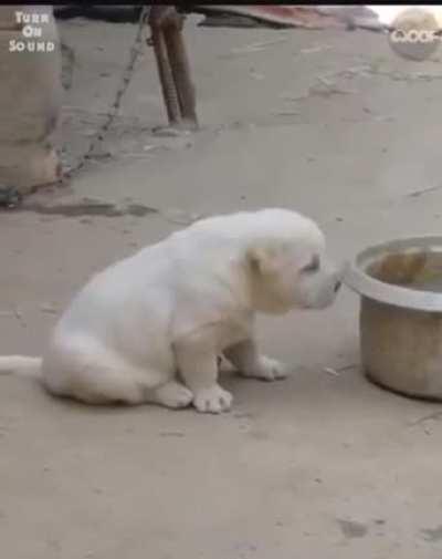 Look at me...I am a roaster now 😂