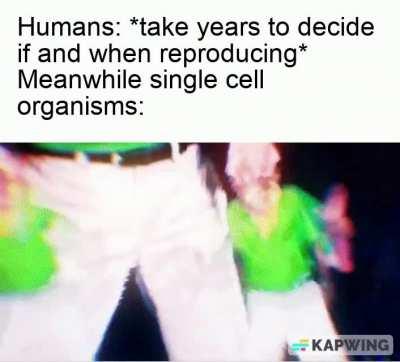 They live such simpler lives