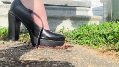 Worm crush.. didn’t stand. chance🖤