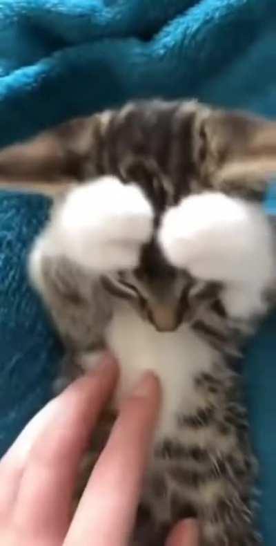 Don't touch my toupee