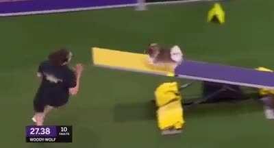 Fine job considering their subject