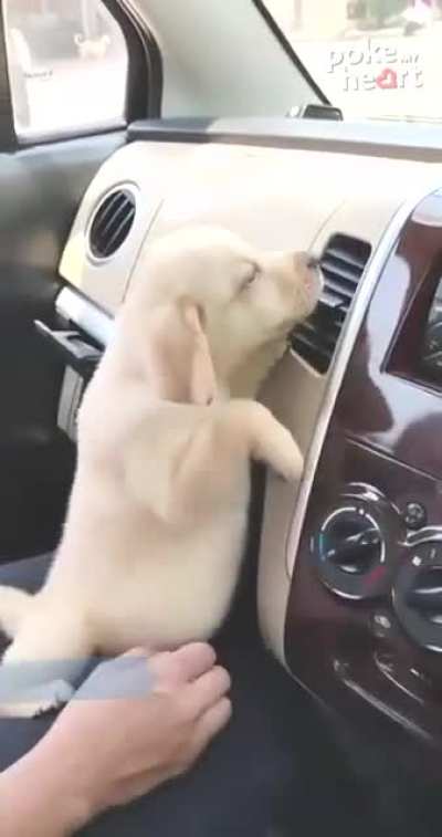 AC off, whimpers on!