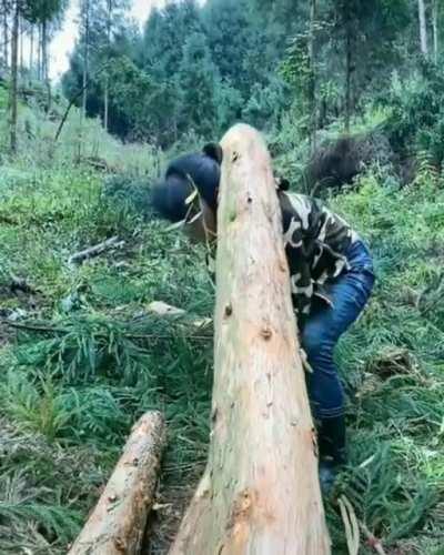 At a corner of the world