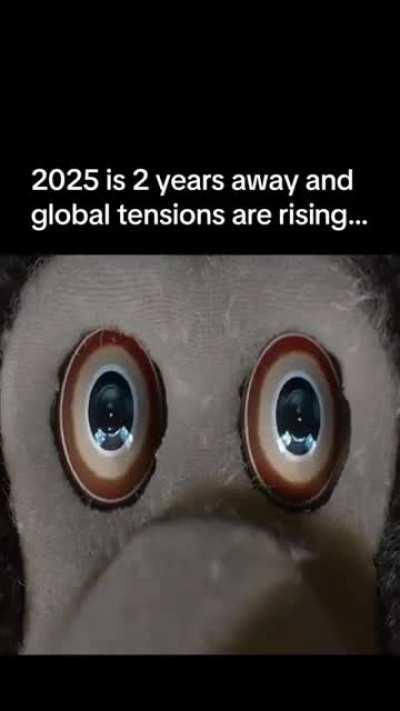 <<Better buy stocks in salvage companies after the war!>>