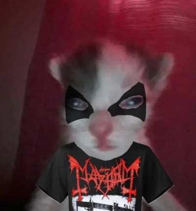 a dubious little demon