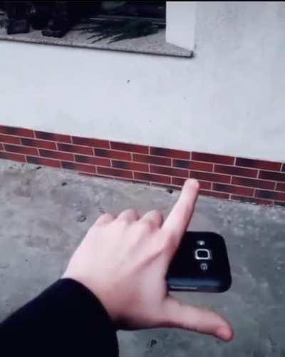 S-a dus telefonul pe pula, urmeaza copilul