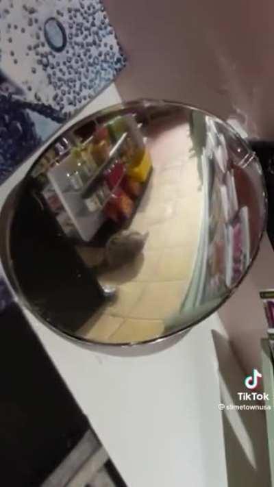 Mini-Mart for a snail