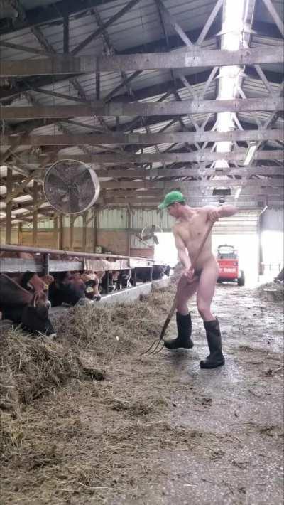 Just another day on the farm