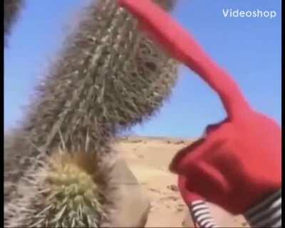 Been awhile since I’ve made a meme