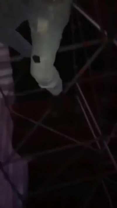 Doing pull ups in a construction site while intoxicated