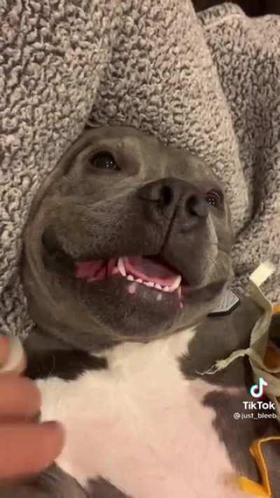 Aaaaaa q coisinha mais fofura