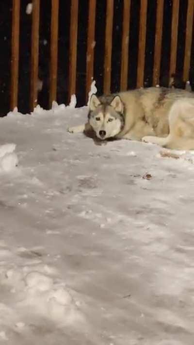 Maya... are you cold?