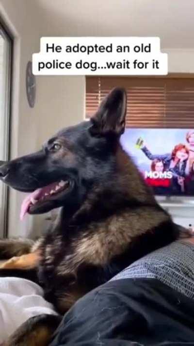 Police veteran blop