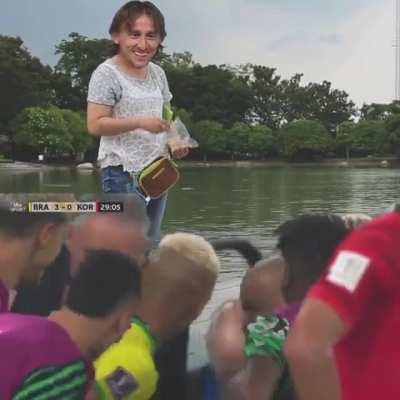 Modric feeding the pidgeons