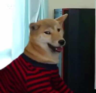 Dog just wanted to play games