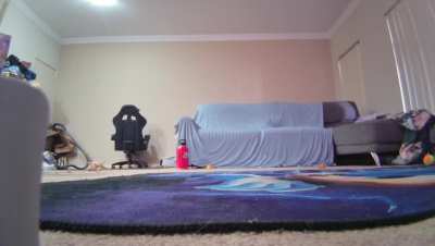 Weird movement on couch?