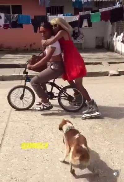 He just wanted to say hi 🥺