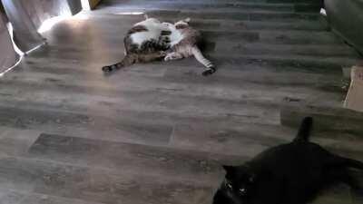 He attack and then act like nothing happened