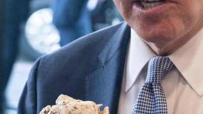 Dark Brandon on the status of our national ice cream flavor [OC]