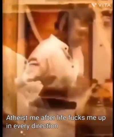 Reject humanity, return to monke