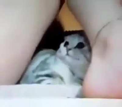 Sagar shah ignoring Samay 18+ jokes