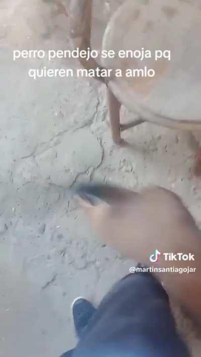 Perro Inteligente 🧠