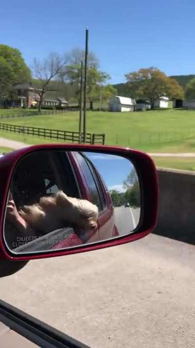 Who doesn&rsquo;t love joyrides?!