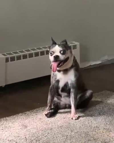 My friend thinks you’re cute.