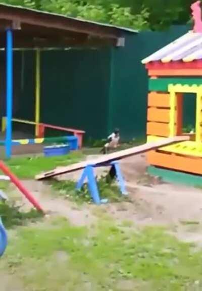 They’re mimicking our children now...