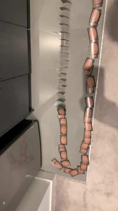 Thanks for the curled foils! Now we have something to do since we can&rsquo;t play in person!