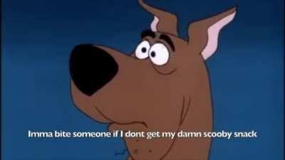 Shaggy and his loyal followers