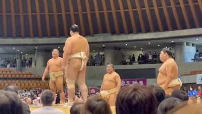 After relentless teasing by Abi and Wakamotoharu, Kotozakura retaliates