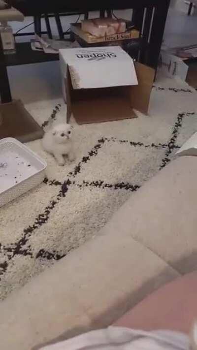 The career defining jump