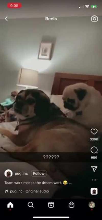 I am throughly confused