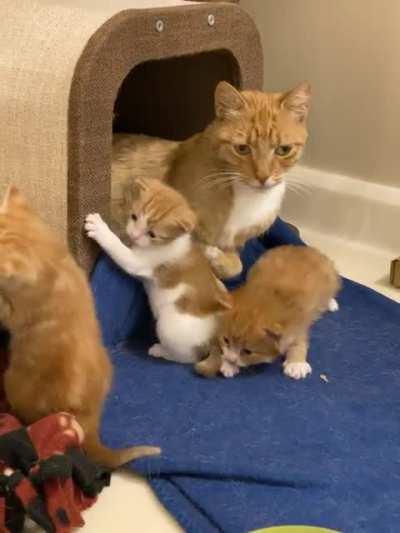 “How could this happen to me?”