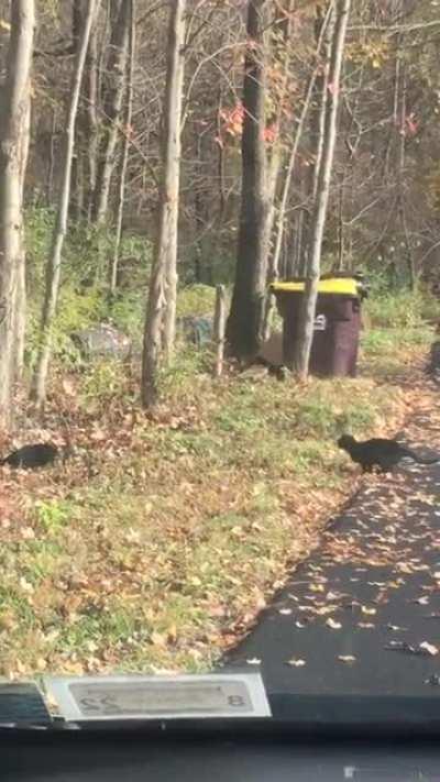 My sister caught this magic moment.