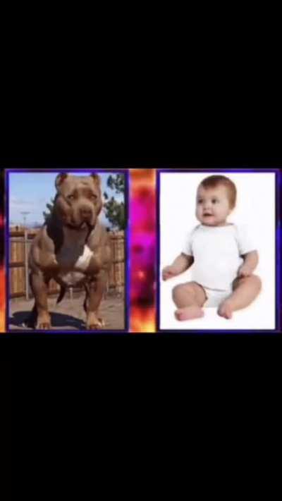 my humor is advancing