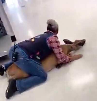 employee of the year