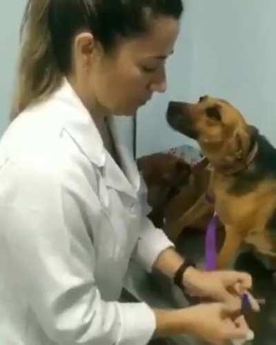 staying still for the doctor