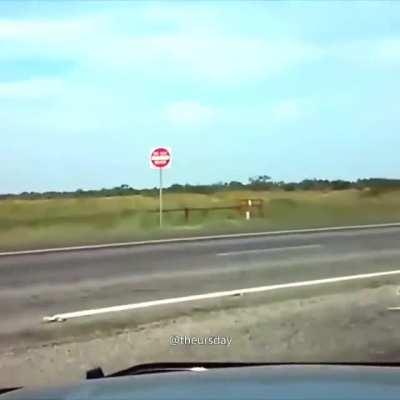 CORRE CABRO COREEEEEEE