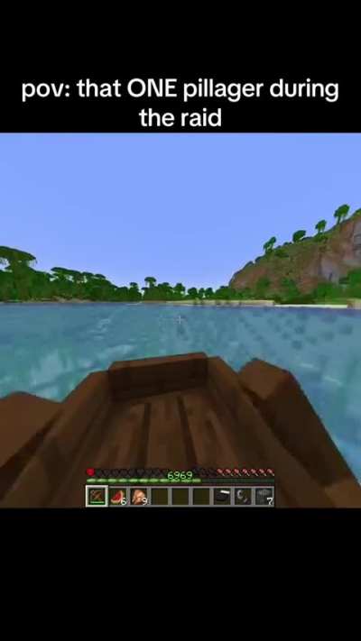 POV: That ONE Pillager during the raid