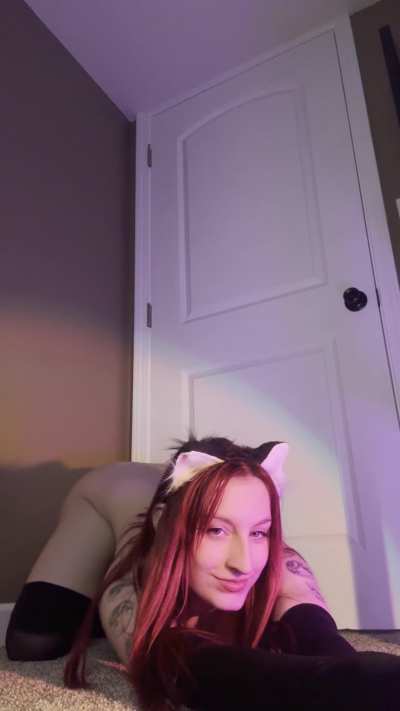 do not the cat...or see what happens