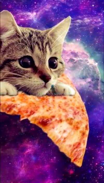 ✨🐱🍕🚶‍♂️🛹🪐✨