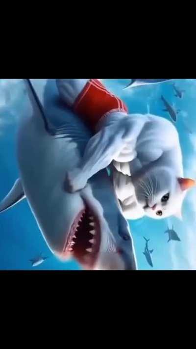 NEW CAT BRAINROT DROPPED!