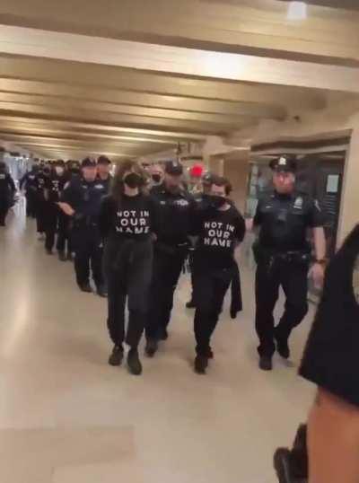 Fellow Jews who make me proud!