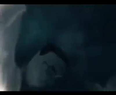 Why white shirts are the best